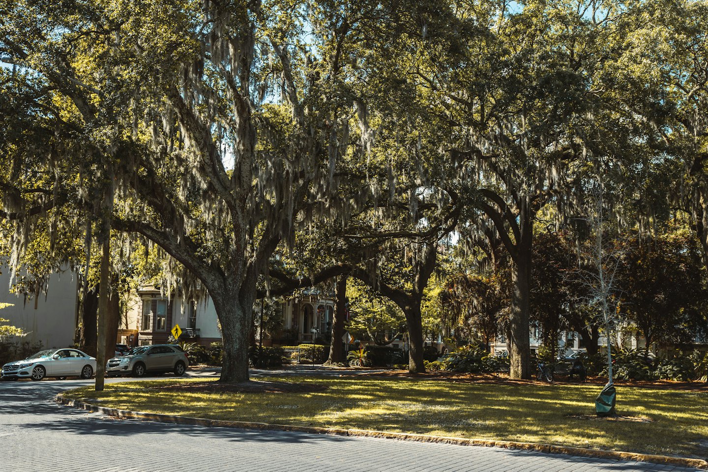 Historic brick street lined with large mossy oak trees.